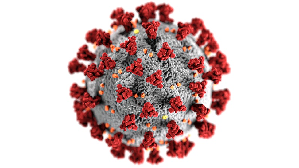 COVID Virus & Vein Health